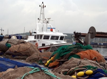 pesca