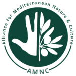 Logo AMNC Acronym Mark - Colour