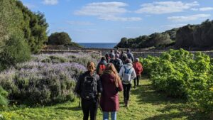 Excursio Binissaida des Barrancons