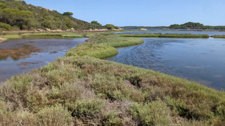 3 de maig – Excursió i conte a les Salines de la Concepció