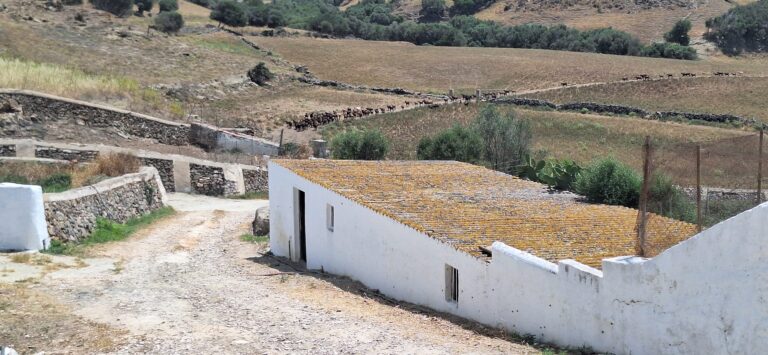 Dissabte, 10/10 – Excursió de Custòdia Agrària a Binisserralla