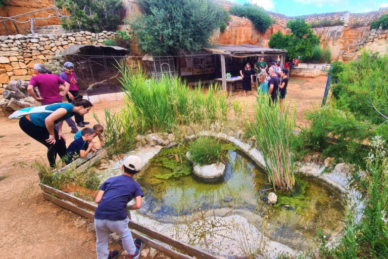 8 de juny – Jornada de portes obertes al Centre de Recuperació de Fauna Silvestre de Menorca