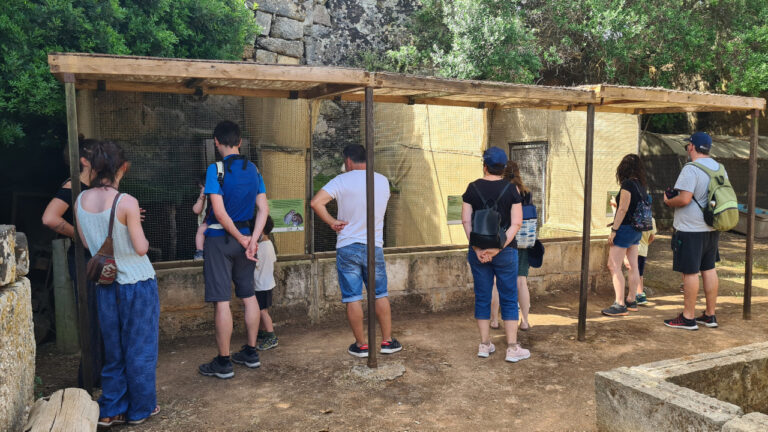 El Centre de Recuperació de Fauna Silvestre obre les portes al públic durant l’estiu