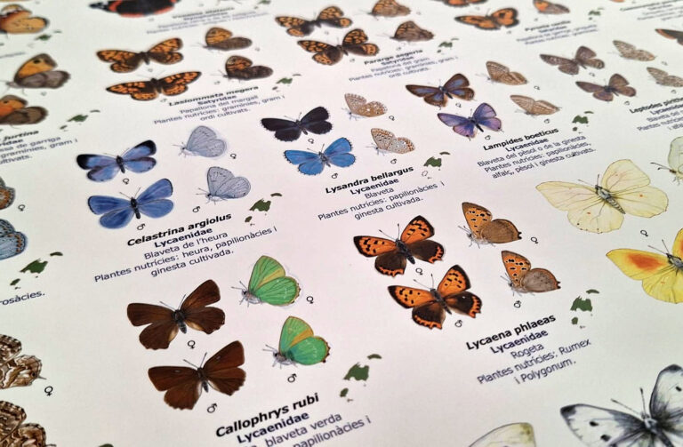 Darrers dies per apuntar-se al seguiment de bioindicadors a les finques de Custòdia Agrària