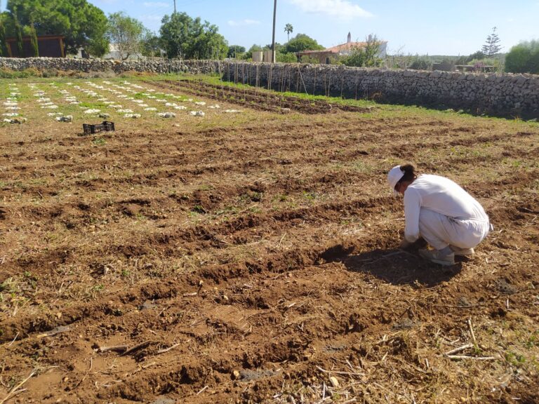 Descobreix un hort viu: vine a l’excursió de diumenge 10/05 a s’Hortet de s’Algar!