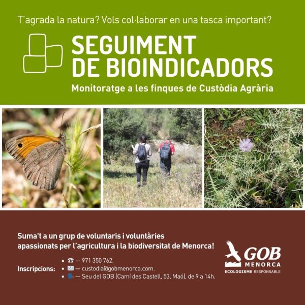 Seguiment_bioindicadors_WhatsApp Seguiment_bioindicadors_WhatsApp